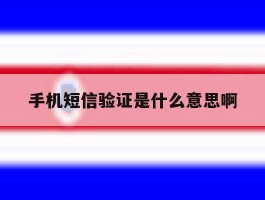 手机短信验证是什么意思啊