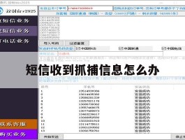 短信收到抓捕信息怎么办