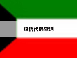 短信代码查询