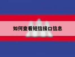 如何查看短信接口信息