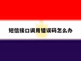 短信接口调用错误码怎么办