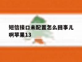 短信接口未配置怎么回事儿啊苹果13