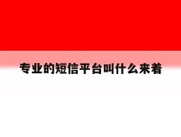 专业的短信平台叫什么来着