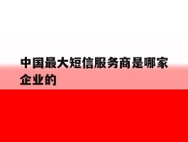 中国最大短信服务商是哪家企业的