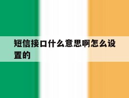 短信接口什么意思啊怎么设置的