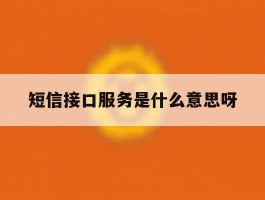 短信接口服务是什么意思呀