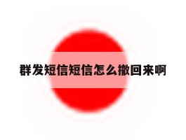 群发短信短信怎么撤回来啊