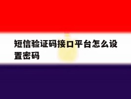 短信验证码接口平台怎么设置密码