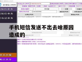 手机短信发送不出去啥原因造成的