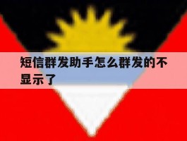 短信群发助手怎么群发的不显示了