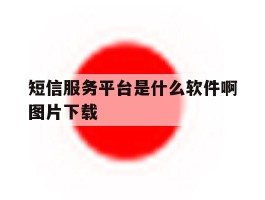 包含短信服务平台是什么软件啊图片下载的词条