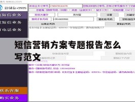 短信营销方案专题报告怎么写范文