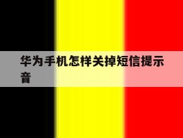 华为手机怎样关掉短信提示音