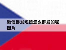 微信群发短信怎么群发的呢图片