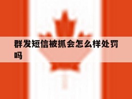群发短信被抓会怎么样处罚吗