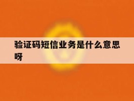 验证码短信业务是什么意思呀