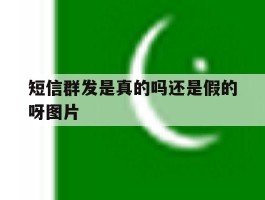 短信群发是真的吗还是假的呀图片