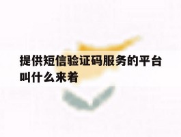 提供短信验证码服务的平台叫什么来着