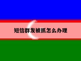 短信群发被抓怎么办理