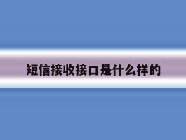 短信接收接口是什么样的