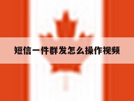短信一件群发怎么操作视频