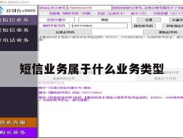 短信业务属于什么业务类型