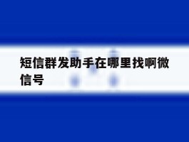 短信群发助手在哪里找啊微信号