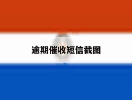 逾期催收短信截图