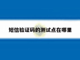 短信验证码的测试点在哪里
