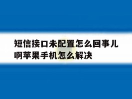 短信接口未配置怎么回事儿啊苹果手机怎么解决的简单介绍
