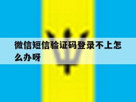 微信短信验证码登录不上怎么办呀