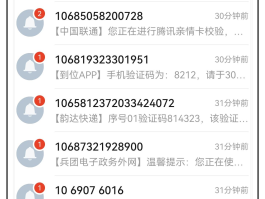 网易短信验证码是什么意思啊