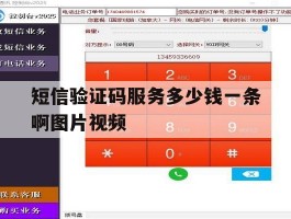 短信验证码服务多少钱一条啊图片视频