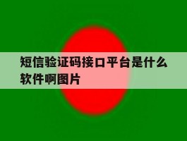 关于短信验证码接口平台是什么软件啊图片的信息