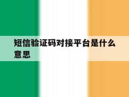 短信验证码对接平台是什么意思