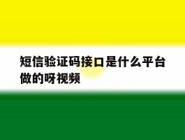 短信验证码接口是什么平台做的呀视频