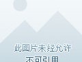 一键发短信的软件下载免费安装手机