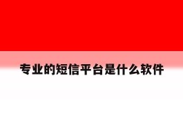专业的短信平台是什么软件