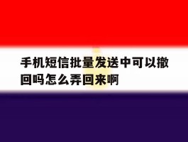 手机短信批量发送中可以撤回吗怎么弄回来啊