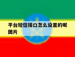 包含平台短信接口怎么设置的呢图片的词条