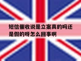 短信催收说是立案真的吗还是假的呀怎么回事啊的简单介绍