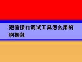 短信接口调试工具怎么用的啊视频