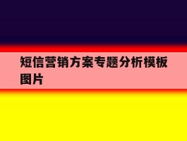 短信营销方案专题分析模板图片