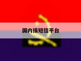 国内接短信平台