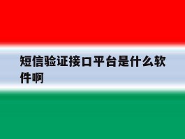 短信验证接口平台是什么软件啊