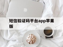 短信验证码平台app苹果版