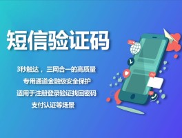 接短信验证码有哪些平台可以用