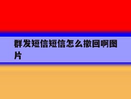 群发短信短信怎么撤回啊图片