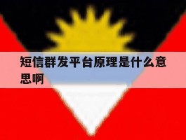 短信群发平台原理是什么意思啊