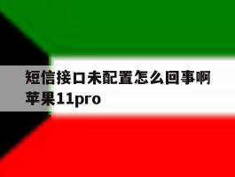 短信接口未配置怎么回事啊苹果11pro